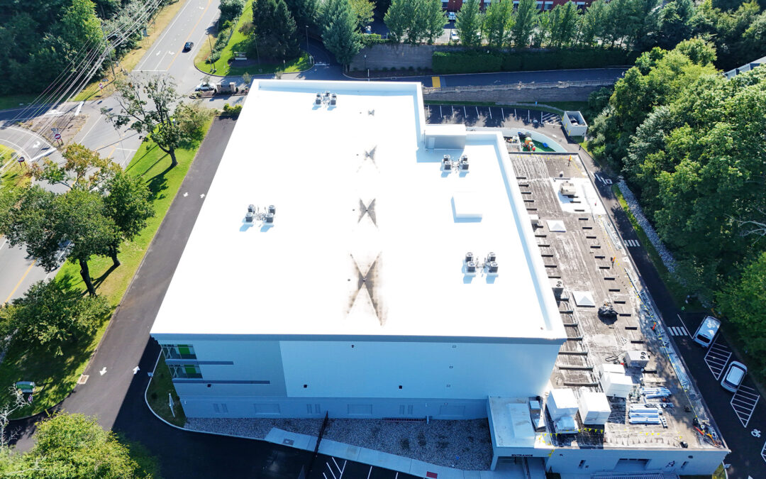 Choosing the Right Roof for Your Commercial Building